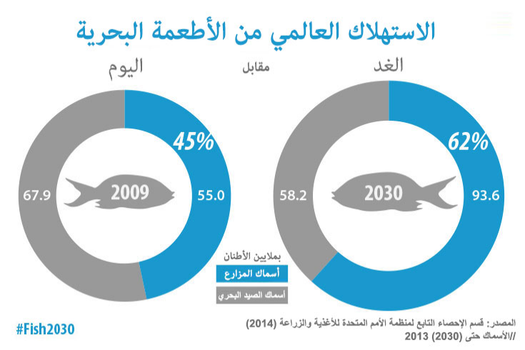 تربية المزيد من الأسماك لتلبية الطلب المتزايد